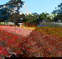 Swan Valley Wine Time Private Day Tour - ACT Tourism