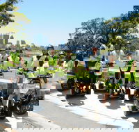 Kings Park Segway Tour - ACT Tourism