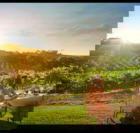 Private Swan Valley Tour by Luxury Vehicle from Perth - ACT Tourism