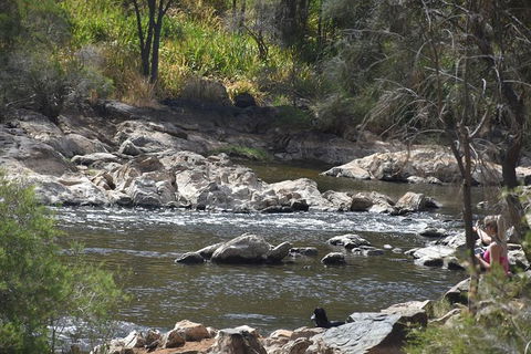 Private Swan Valley Tour By Luxury Vehicle From Perth - ACT Tourism 5