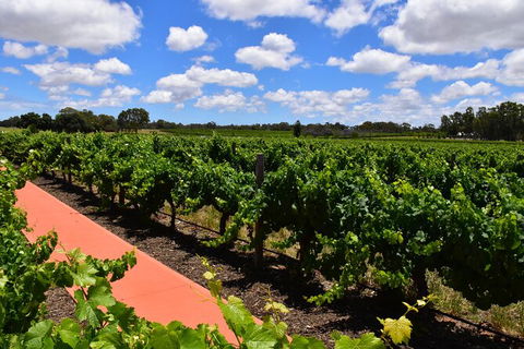 Private Swan Valley Tour By Luxury Vehicle From Perth - ACT Tourism 7