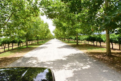 Private Swan Valley Tour By Luxury Vehicle From Perth - ACT Tourism 27