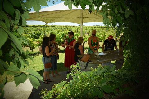 Private Swan Valley Tour By Luxury Vehicle From Perth - ACT Tourism 15