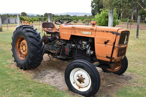 Private Swan Valley Tour By Luxury Vehicle From Perth - ACT Tourism 13