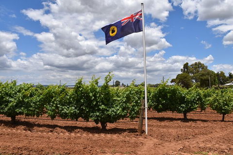 Private Swan Valley Tour By Luxury Vehicle From Perth - ACT Tourism 14