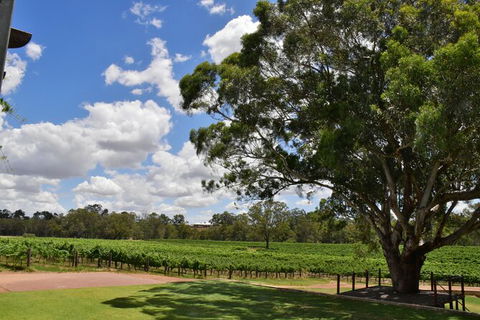 Private Swan Valley Tour By Luxury Vehicle From Perth - ACT Tourism 20