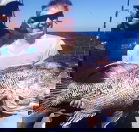 Deep Sea Fishing Charter from Perth - ACT Tourism