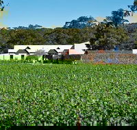 Upper Reach Winery Swan Valley Winery and Vineyard Tour - ACT Tourism