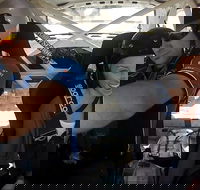 Western Australia Rally School Hotlap Ride in a Rally Car 3 Laps - ACT Tourism