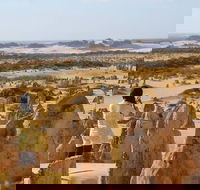 Full-Day Pinnacles Sandboarding and Yanchep National Park from Perth - ACT Tourism