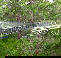 Albany Southwest Wilderness Day Tour - Fly From Perth - ACT Tourism