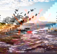 4-Day Coastal Loop via Monkey Mia Wild Dolphins Kalbarri Pinnacles Perth Return - ACT Tourism