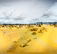 1 Day Pinnacles Wildlife  Sandboarding - ACT Tourism