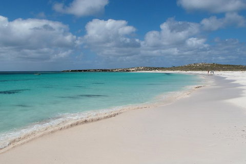 Pink Lake And Abrolhos Full Day Fly And Flipper - ACT Tourism 0