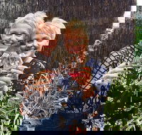 Swan Valley Half-Day Food and Wine Tasting Tour - ACT Tourism