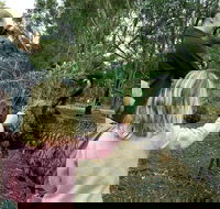 Full-Day Nature Tour from Perth - ACT Tourism