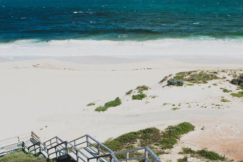 Yanchep & Lancelin - Wildlife, Cave And Sands - ACT Tourism 4