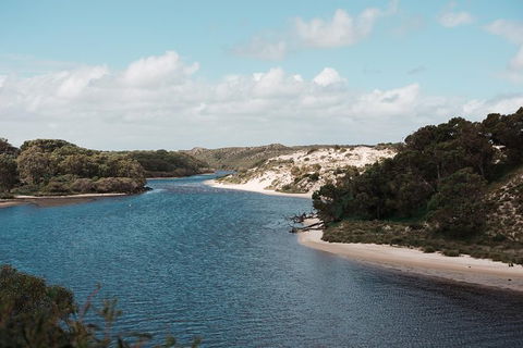 Yanchep & Lancelin - Wildlife, Cave And Sands - ACT Tourism 6