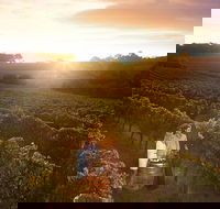 Leeuwin Estate Food and Wine Experience - ACT Tourism