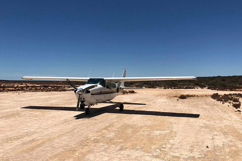Kalbarri Gorges & West Coast - Ground & Air Tour - ACT Tourism 6