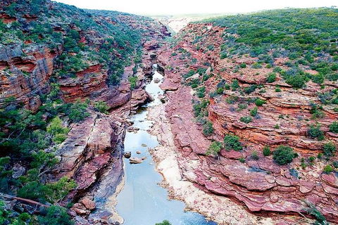 Kalbarri Gorges & West Coast - Ground & Air Tour - ACT Tourism 5