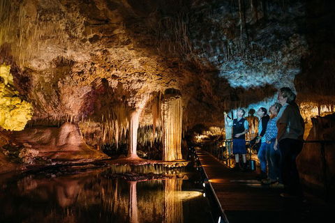 Lake Cave Fully Guided Tour - ACT Tourism 0