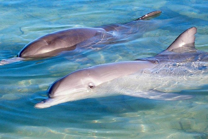 Perth Gpo WA ACT Tourism