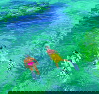 5 Day Perth to Exmouth Cruiser  One-Way - ACT Tourism