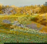 Swan Valley Private Tour - ACT Tourism