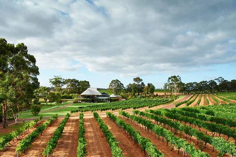 Vasse Felix Winery Tour And Tasting - ACT Tourism 2