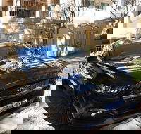 Wineries and Wildlife - With Mustang V8 Fastback - ACT Tourism