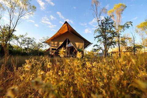 APT Kimberley Wilderness Adventures Purnululu (Bungle Bungle) 4WD Experience - ACT Tourism 10
