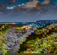 Guided Walks on the Cape to Cape - Wilyabrup Cliffs - ACT Tourism