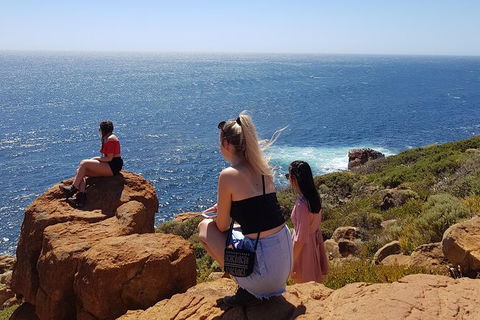 7 Hour Full Day Tour: Morning Tea, Chocolate, Olives, 3 Wineries & Lunch - ACT Tourism 11