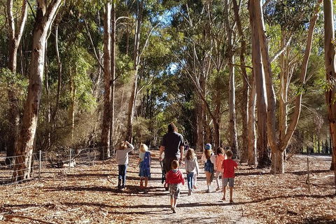 7 Hour Full Day Tour: Morning Tea, Chocolate, Olives, 3 Wineries & Lunch - ACT Tourism 21