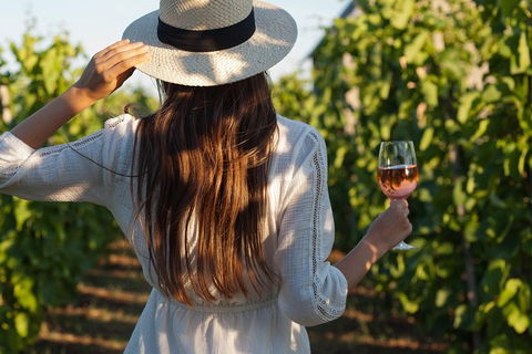 7 Hour Full Day Tour: Morning Tea, Chocolate, Olives, 3 Wineries & Lunch - ACT Tourism 2