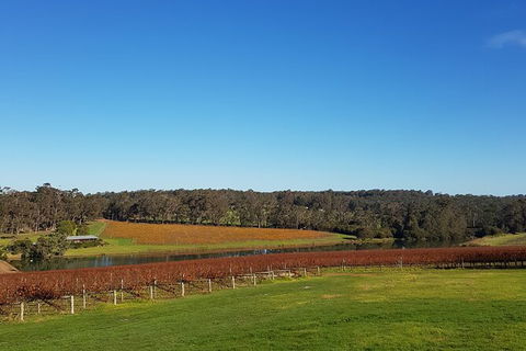 7 Hour Full Day Tour: Morning Tea, Chocolate, Olives, 3 Wineries & Lunch - ACT Tourism 7