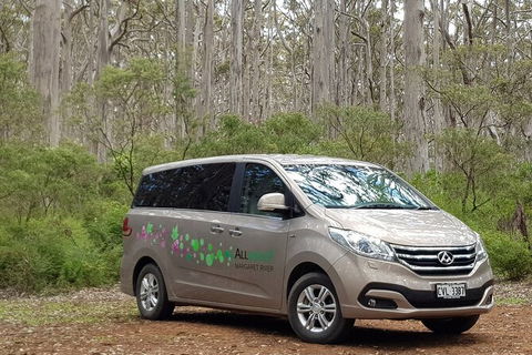 7 Hour Full Day Tour: Morning Tea, Chocolate, Olives, 3 Wineries & Lunch - ACT Tourism 6