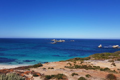 7 Hour Full Day Tour: Morning Tea, Chocolate, Olives, 3 Wineries & Lunch - ACT Tourism 10
