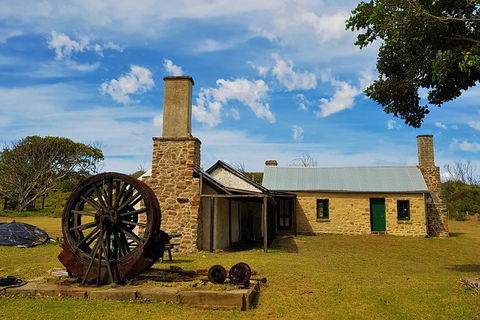 7 Hour Full Day Tour: Morning Tea, Chocolate, Olives, 3 Wineries & Lunch - ACT Tourism 4