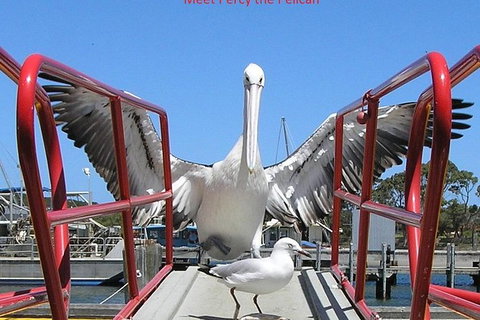 Kalgan Queen Scenic Cruises A Four Hour Sheltered Water Wildlife Tour Daily Fun. - ACT Tourism 1