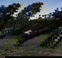 Dusk to Dawn Astronomy Margaret River - ACT Tourism