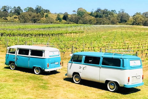 VW Kombi Wine Tour In The Swan Valley - ACT Tourism 6