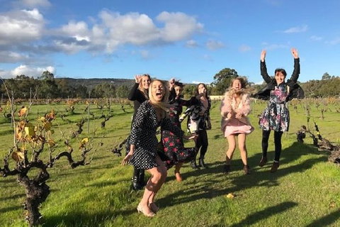 VW Kombi Food, Wine And More Tour (bring The Kids!) - ACT Tourism 3