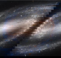 Dusk to Dawn Astronomy Experience at Bullara Station Stay - ACT Tourism