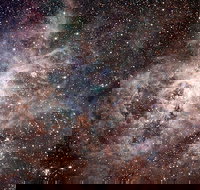 Overnight Astronomy Experience Ningaloo - Yardie Homestead - ACT Tourism