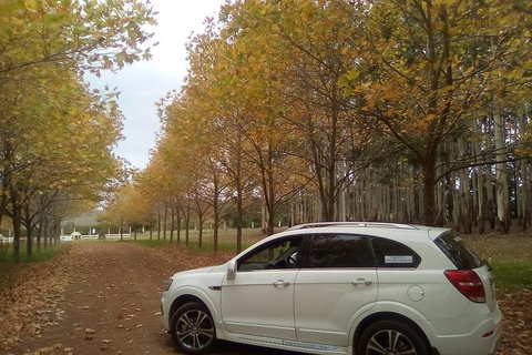 Private Wine Tasting Tour On A Budget For Group Up To 6 People - ACT Tourism 1