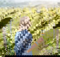 5 Hours Wineries Coffee Tasting Forest  Lunch at the Berry Farm - ACT Tourism