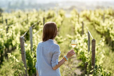 5 Hours Wineries, Coffee Tasting, Forest & Lunch At The Berry Farm - ACT Tourism 0