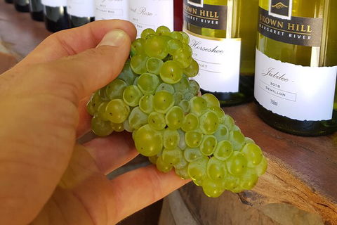 5 Hours Wineries, Coffee Tasting, Forest & Lunch At The Berry Farm - ACT Tourism 12